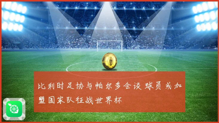 比利时足协与帕尔多会谈 球员或加盟国家队征战世界杯
